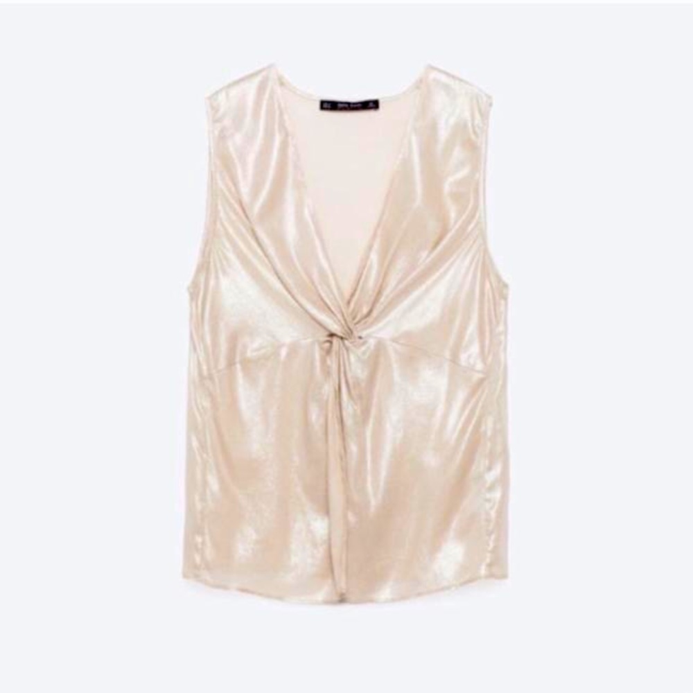 NWT Zara Sleeveless Sheer Metallic Top